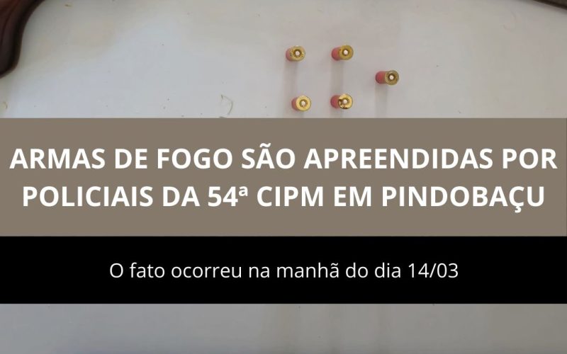 Apreensão de Armas de Fogo em Pindobaçu
