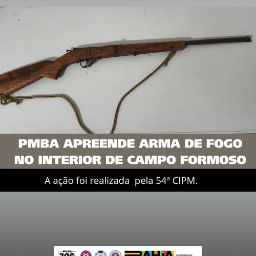 Tentativa de Roubo, Apreensão de arma de fogo.