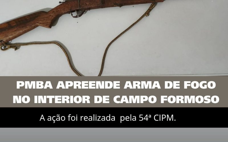 Tentativa de Roubo, Apreensão de arma de fogo.