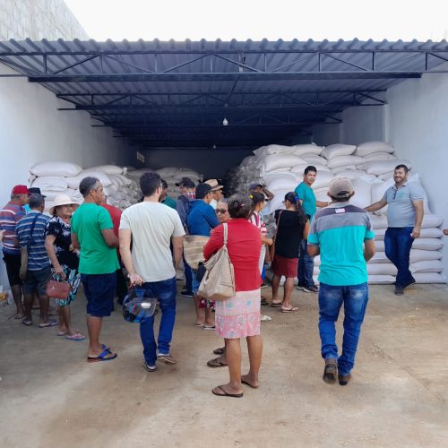 Mais de 33 mil famílias do Semiárido baiano são beneficiadas com entrega de milho para ração animal