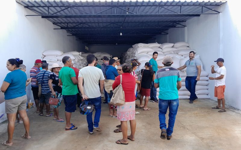 Mais de 33 mil famílias do Semiárido baiano são beneficiadas com entrega de milho para ração animal