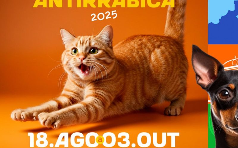 Prefeitura de Senhor do Bonfim inicia Campanha de Vacinação Antirrábica em cães e gatos nesta segunda (18