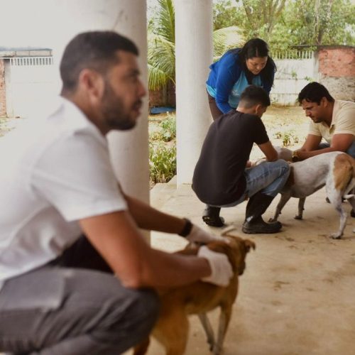 Prefeitura de Senhor do Bonfim realiza testagem de cães do Canil Municipal reforçando ações de saúde pública e bem-estar animal