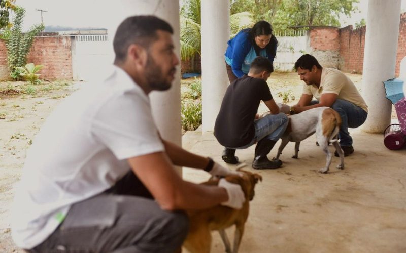 Prefeitura de Senhor do Bonfim realiza testagem de cães do Canil Municipal reforçando ações de saúde pública e bem-estar animal