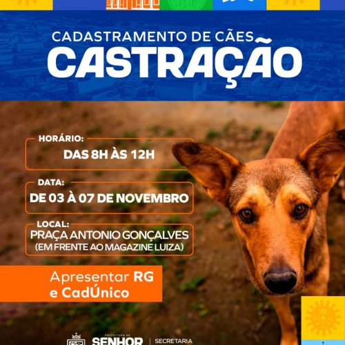 Prefeitura de Senhor do Bonfim realiza cadastramento para mutirão de castração de cães entre os dias 3 e 7 de novembro