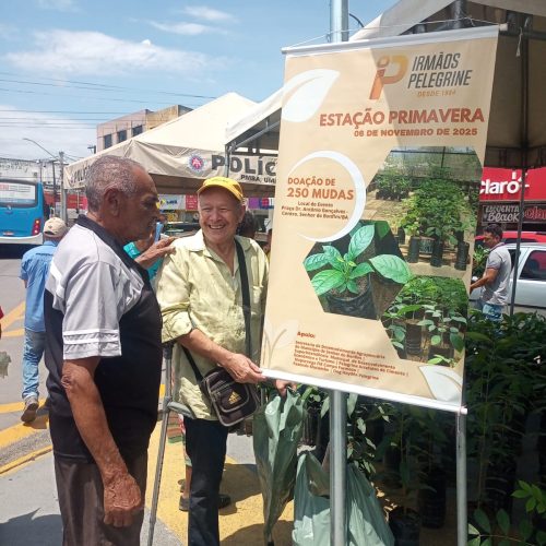 Professor Antônio Augusto distribui mudas de plantas