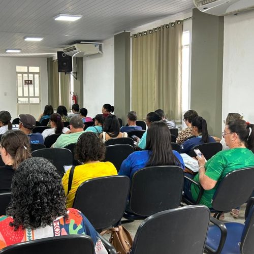 ACS de Senhor do Bonfim são capacitados para uso de aplicativo de cuidado à gestação e pós-parto desenvolvido pela UNEB