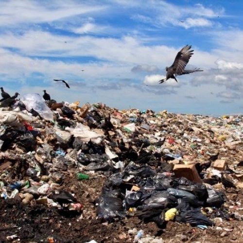 Fim dos lixões na Bahia será tema de reunião da Frente Parlamentar na segunda (15)