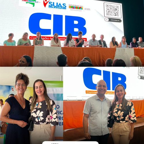 Filadélfia participa da 233ª Reunião Ordinária da CIB e do COEGEMAS