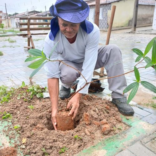 Plantio de mudas marca mais uma ação do projeto Arboriza Bonfim