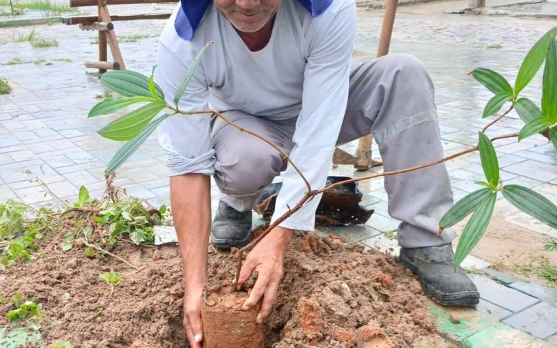Plantio de mudas marca mais uma ação do projeto Arboriza Bonfim
