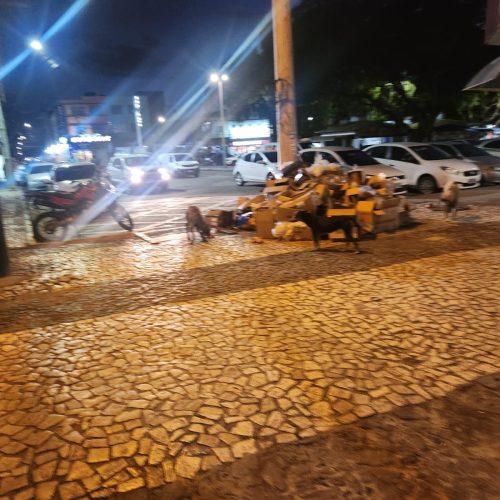 Descarte irregular de lixo vira rotina no centro comercial de Senhor do Bonfim