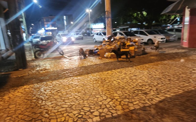 Descarte irregular de lixo vira rotina no centro comercial de Senhor do Bonfim