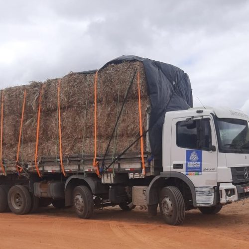 Prefeitura de Senhor do Bonfim amplia apoio aos agricultores durante estiagem