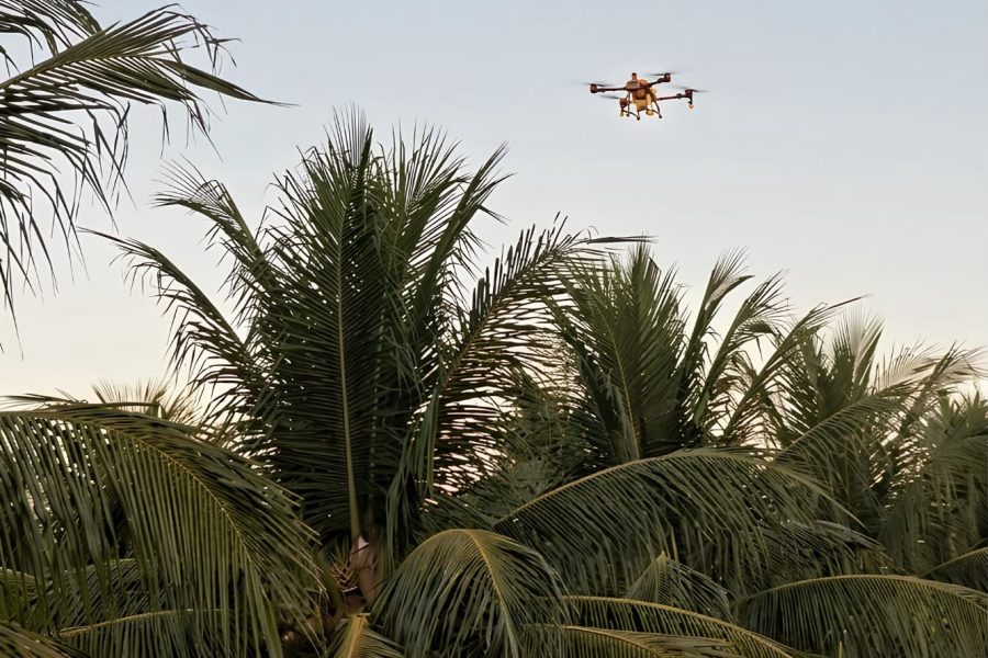 Uso de drone agrícola será tema do Dia de Campo do 3⁰ Simpósio de Oportunidades de Negócios na Cultura de Coco