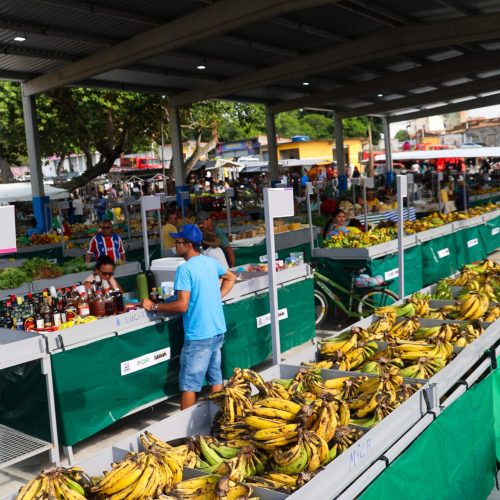 Investimentos do Estado fortalecem infraestrutura econômica em Buritirama, Chorrochó e Mutuípe