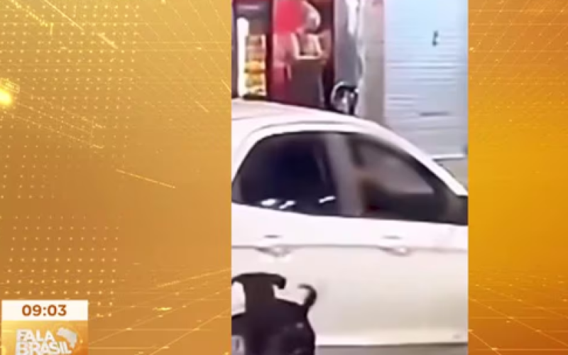 Abandono de animais aumenta durante período de férias