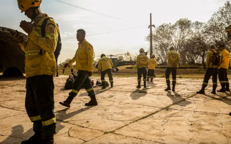 Combate aos incêndios florestais recebe mais brigadistas e veículos