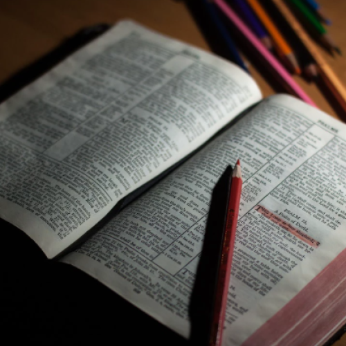 Brasil lidera distribuição de Bíblias completas em 2024