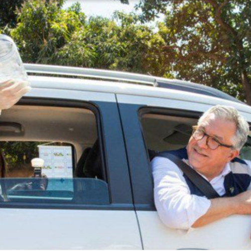 Saúde implementa o método Wolbachia no DF e em GO para combater a dengue