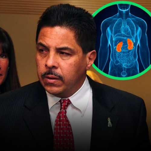 Homem doa rim para esposa más pede devolução após divórcio