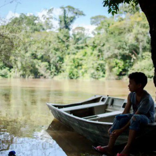 Bolsa Verde beneficia 70 mil famílias em setembro e antecipa meta prevista para 2025