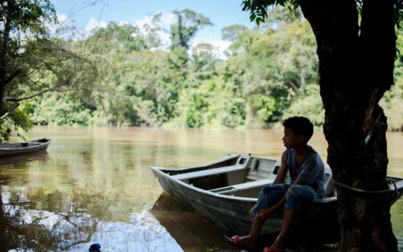 Bolsa Verde beneficia 70 mil famílias em setembro e antecipa meta prevista para 2025