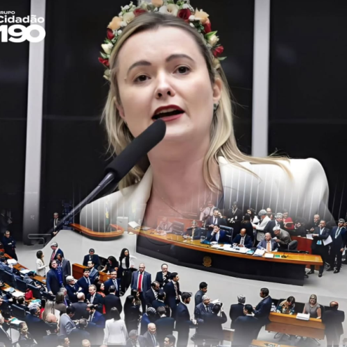 Deputada quer lei Maria da Penha também para os homens