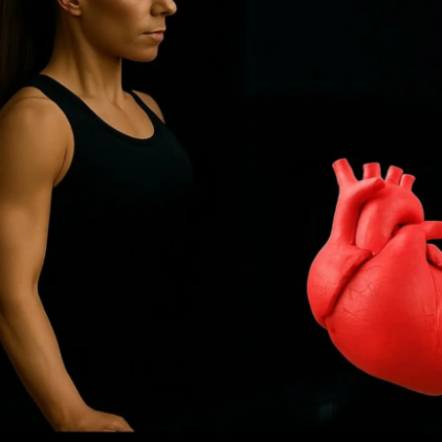 Dois anos de musculação pode rejuvenescer o coração