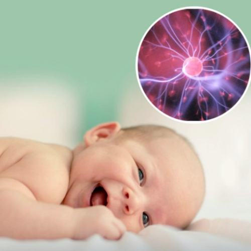 Inteligência de crianças e herdada da mãe diz estudo