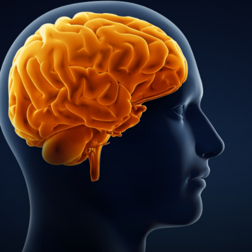 Inflamação cerebral pode ser uma condição necessária para o desenvolvimento do Alzheimer