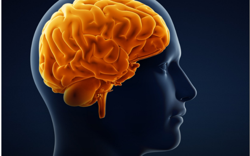 Inflamação cerebral pode ser uma condição necessária para o desenvolvimento do Alzheimer