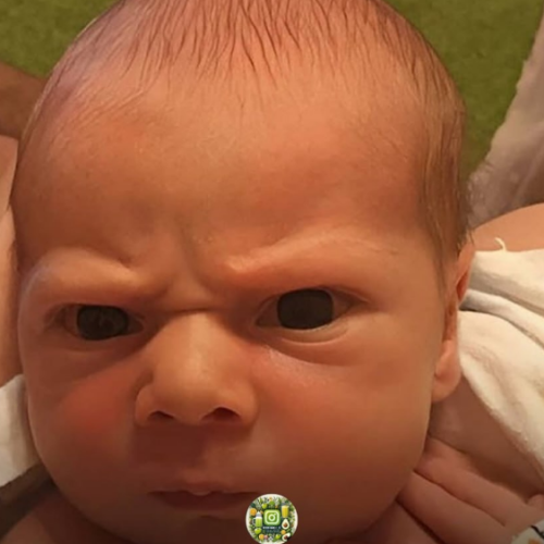 Bebê sabe quando você está sendo falso