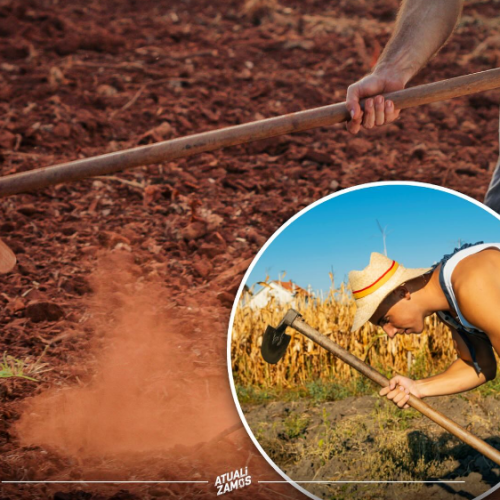 Capinar aumenta mais a testosterona que exercícios