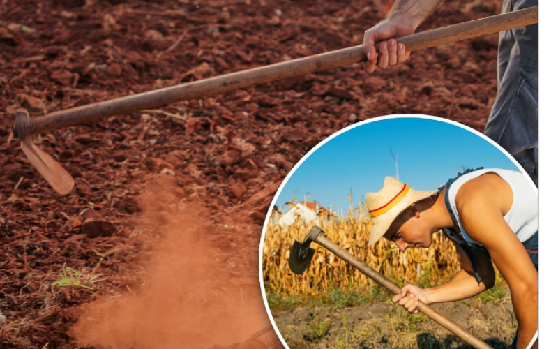 Capinar aumenta mais a testosterona que exercícios