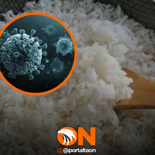 Arroz requentado pode trazer risco a saúde