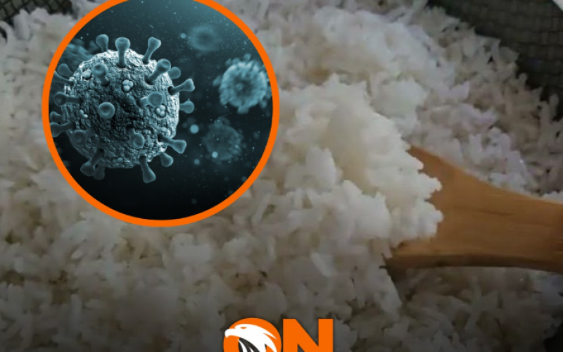 Arroz requentado pode trazer risco a saúde