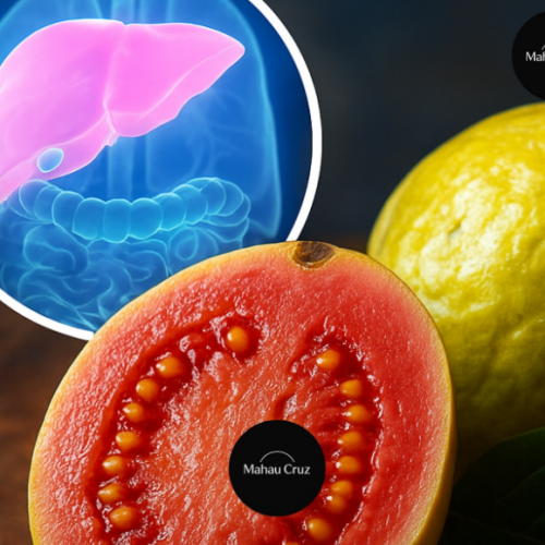 Descoberta na goiaba molécula que pode curar o câncer de fígado