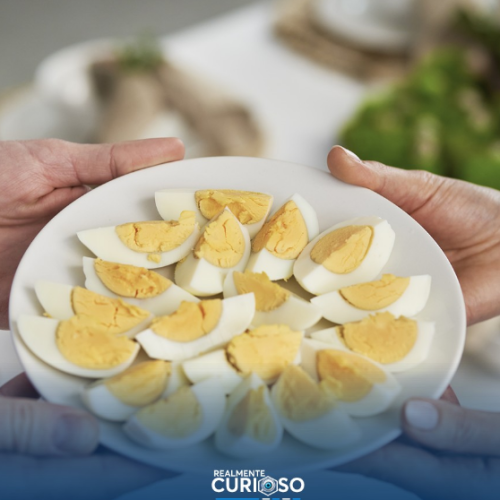 Comer ovos com regularidade pode trazer diversos benefícios à saúde