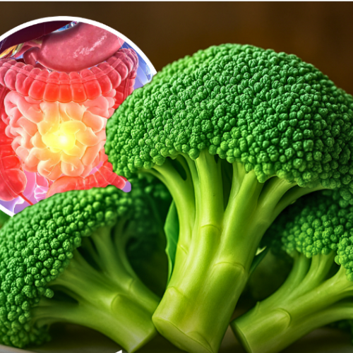 Comer brócolis pode reduzir câncer de próstata