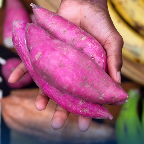 Batata doce ajuda a controlar a glicose