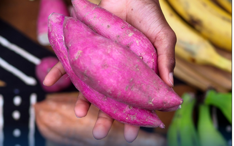 Batata doce ajuda a controlar a glicose