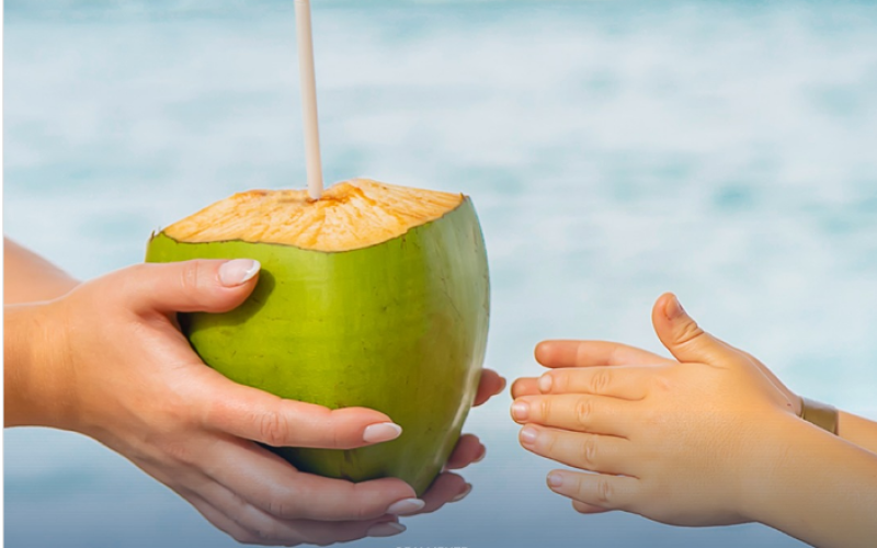 Beber agua de coco pode evitar inchaço