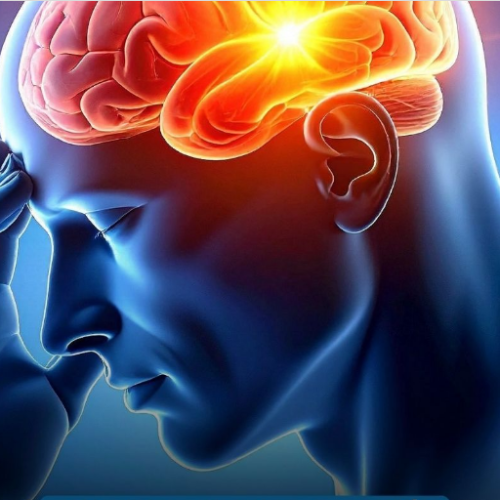 Cérebro não perde sua capacidade de aprender com a idade, mas com a falta de desafios