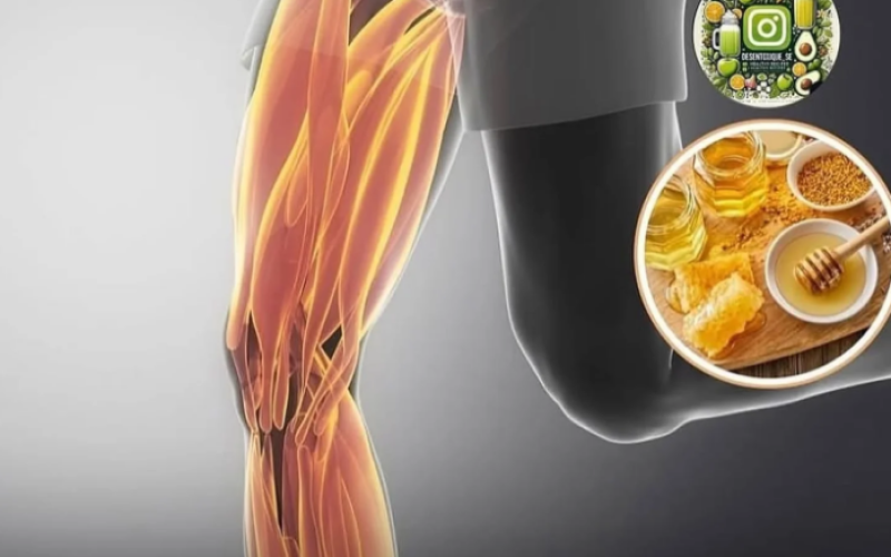 Beber 250 mililitros de água com mel 90 minutos antes do treino pode reduzir a dor muscular