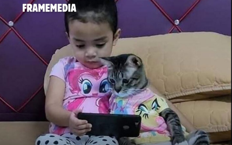 Pai compra gato para afastar filha do celular