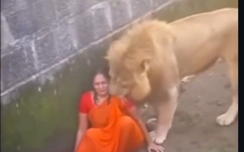 Mulher cai em jaula mais escapa ilesa