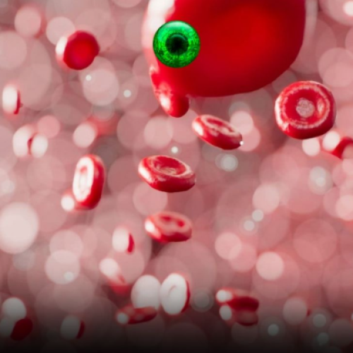 Exame de sangue pode prevê quantos anos de vida ainda se tem!