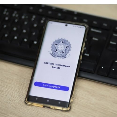 Média de desemprego em 2024 é a menor já registrada: 6,6%