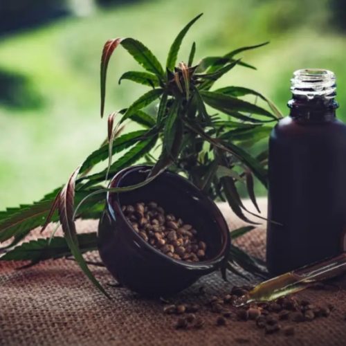 São Paulo veta PL que amplia acesso a itens de cannabis medicinal